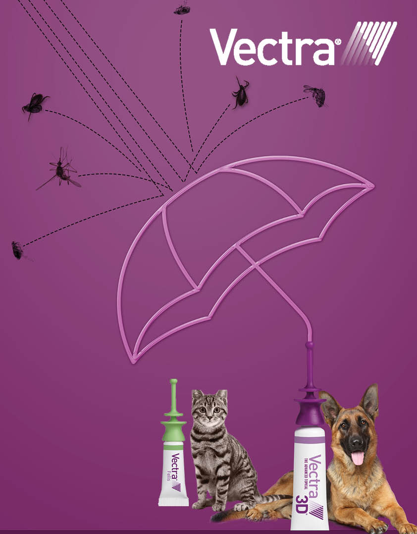 vectra umbrella photo