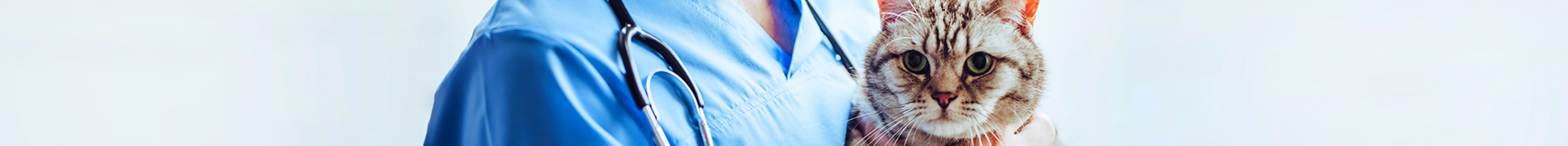 עצה וטרינרית